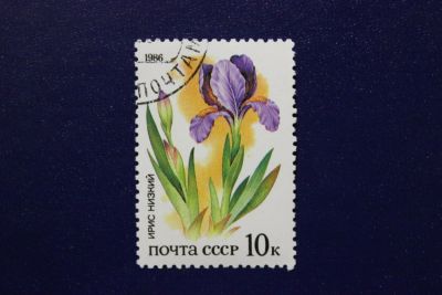 Лот: 6855915. Фото: 1. Почтовая марка №4069 в коллекцию. Марки