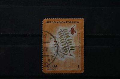 Лот: 3931564. Фото: 1. марка 19 Куба 1975 г флора. Марки