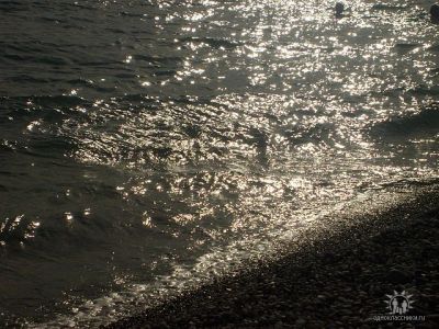 Лот: 3586782. Фото: 1. Абхазия. Частный сектор море у... Туры, путёвки, билеты