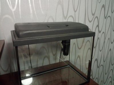 Лот: 9896123. Фото: 1. Аквариум. Аквариумы, террариумы