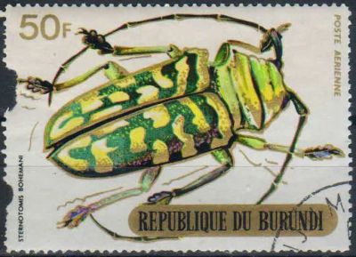 Лот: 25125822. Фото: 1. 1970. Бурунди. Авиапочта - Жуки... Марки
