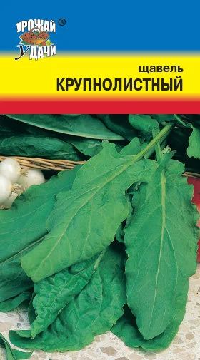 Лот: 10985818. Фото: 1. Семена щавеля "Крупнолистный". Пряные, лекарственные растения и зелень