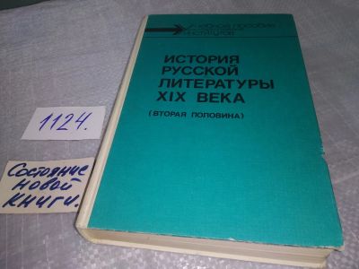 Лот: 19112070. Фото: 1. ред. Скатов Н.Н. История русской... Другое (общественные и гуманитарные науки)