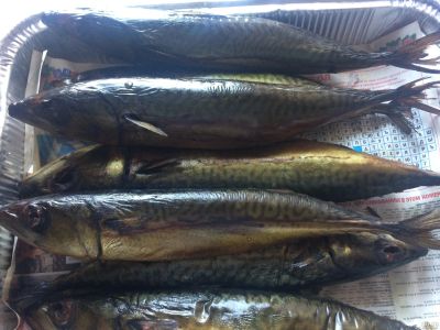 Лот: 13610094. Фото: 1. скумбрия потрошеная х\к. Икра, рыба, морепродукты