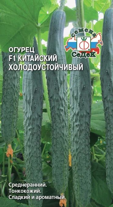 Лот: 7881463. Фото: 1. Огурец Китайский холодоустойчивый. Овощи