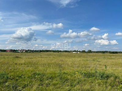 Лот: 25289074. Фото: 1. участок , село Есаулово село Есаулово... Земельные участки