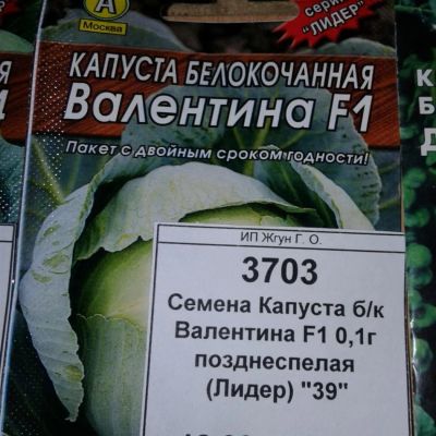 Лот: 9121930. Фото: 1. Семена / овощи / Капуста / белокочанная... Овощи