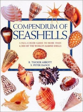 Лот: 2229382. Фото: 1. Compendium of Seashells. Раковина... Другое (литература, книги)