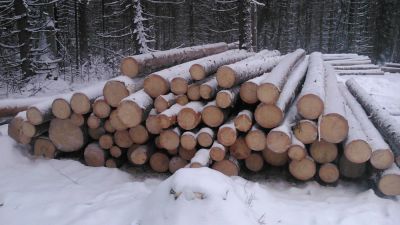 Лот: 8587412. Фото: 1. продам лес кругляк. Древесина, пиломатериал