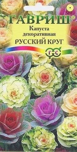 Лот: 11024688. Фото: 1. Капуста декоративная Русский круг. Садовые цветы