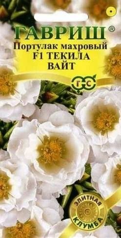 Лот: 11025469. Фото: 1. Портулак Текила Вайт 5 шт. Садовые цветы