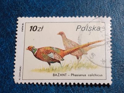 Лот: 25556063. Фото: 1. - Марки для Вашей коллекции. лот... Марки