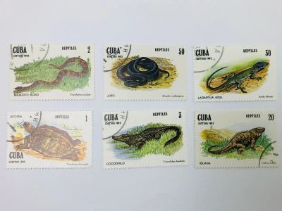 Лот: 23314401. Фото: 1. Рептилии. Кубинский слайдер. Удав... Марки