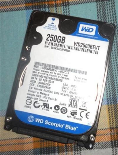 Лот: 2248004. Фото: 1. WD 250. Жёсткие диски (HDD)