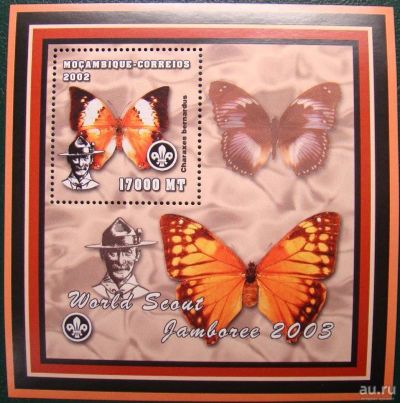 Лот: 10443765. Фото: 1. Мозамбик 2003 MNH бл 1. Марки