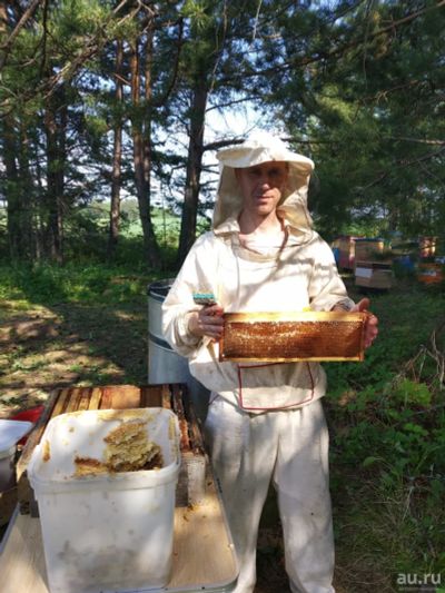 Лот: 13986858. Фото: 1. Мёд разнотравье Сибирское таежное... Мёд, продукты пчеловодства