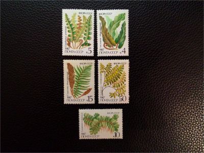 Лот: 9381520. Фото: 1. 1987. Флора СССР. Папортники... Марки