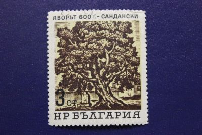Лот: 8530501. Фото: 1. Почтовая марка №6211 в коллекцию. Марки