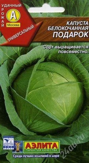 Лот: 2877586. Фото: 1. рассада капусты "подарок". Другое (семена, рассада, садовые растения)