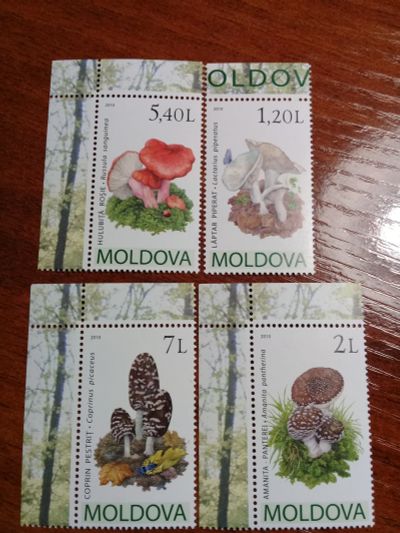 Лот: 11544706. Фото: 1. Флора на марках "Грибы" Молдова... Марки