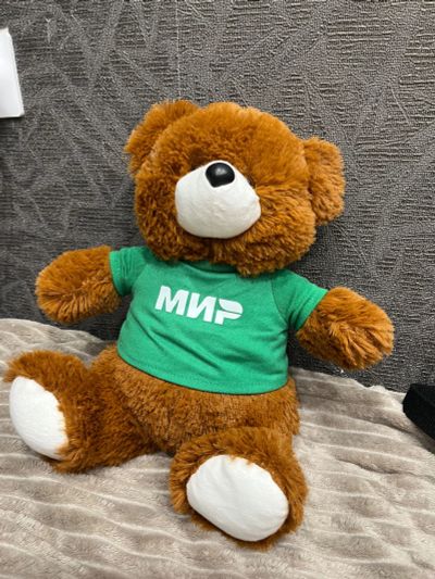 Лот: 19876116. Фото: 1. Плюшевый медведь МИР. Мягкие