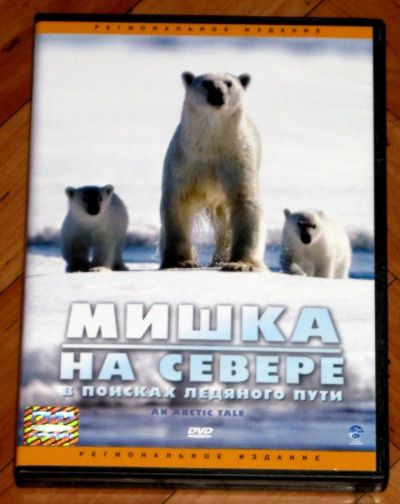 Лот: 18834629. Фото: 1. DVD диск Мишка на севере (в поисках... Видеозаписи, фильмы