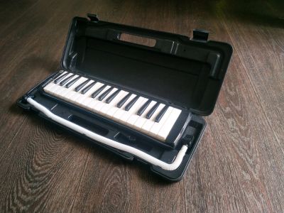 Лот: 14121659. Фото: 1. Мелодика Hohner. Духовые