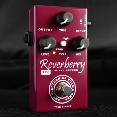 Лот: 5224286. Фото: 1. AMT Electronics RY-1 Reverberry... Гитарные эффекты и комбоусилители