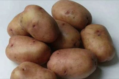 Лот: 6120498. Фото: 1. Картофель деревенский. Картофель