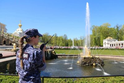 Лот: 25553055. Фото: 1. Полицейский вневедомственной охраны. Работа, вакансии
