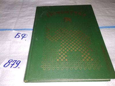 Лот: 16749844. Фото: 1. Дитрих Александр; Юрмин Георгий... Познавательная литература