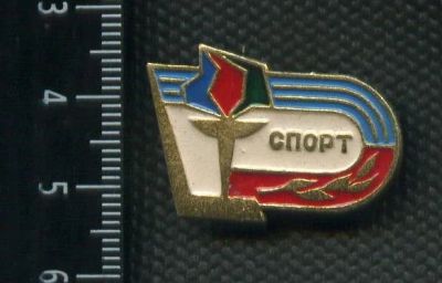 Лот: 15755623. Фото: 1. (№ 4817 ) значки спорт, хоккей... Сувенирные
