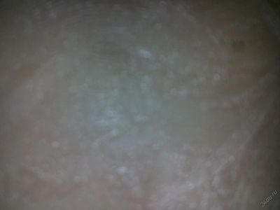 Лот: 5803527. Фото: 1. Участок район овсянка. Земельные участки