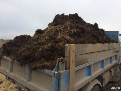 Лот: 13602103. Фото: 1. Куплю коровьего навоза(удобрение... Удобрения, химия