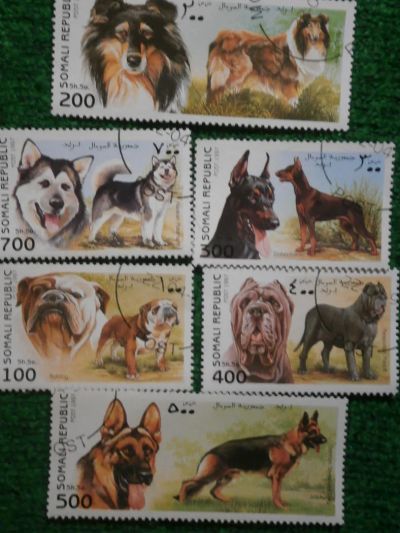 Лот: 9527113. Фото: 1. Марки, Собаки, Сомали, 1997. Марки