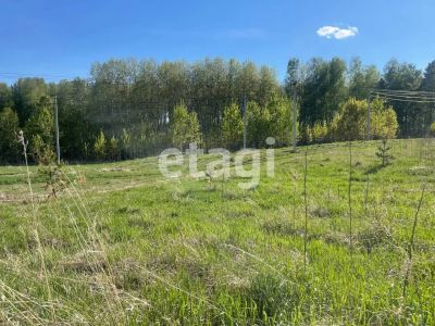 Лот: 25297242. Фото: 1. участок , садовые участки Штаны... Земельные участки