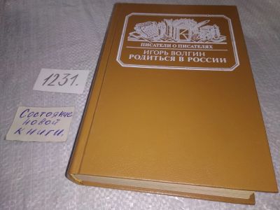 Лот: 19232061. Фото: 1. Волгин И. Родиться в России. Достоевский... Мемуары, биографии