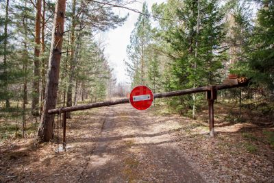 Лот: 25284296. Фото: 1. участок , СТ Варяг Лесная улица... Земельные участки