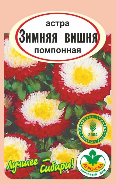 Лот: 12839997. Фото: 1. Семена астры помпонной "Зимняя... Садовые цветы