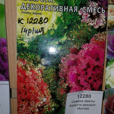 Лот: 9115427. Фото: 1. Семена / Цветы / Капуста / декоративная... Садовые цветы