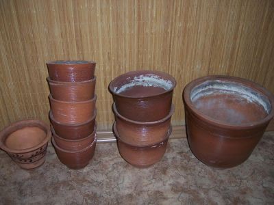 Лот: 5741244. Фото: 1. Горшки. Другое (растения и животные)