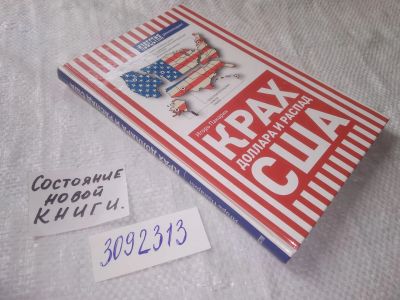Лот: 22268810. Фото: 1. (3092313) oz меш. Панарин И.Н... Политика