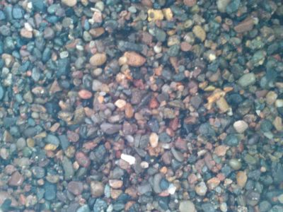 Лот: 9642505. Фото: 1. Грунт аквариумный цветной (галька... Грунты, украшения, наполнения