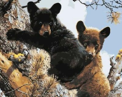 Лот: 13208273. Фото: 1. Раскраска по номерам "Медвежата... Картины по номерам