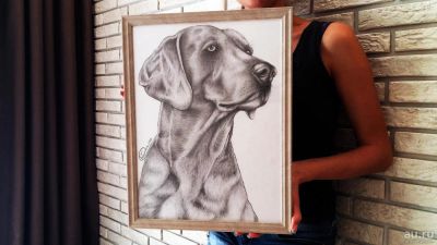 Лот: 9340804. Фото: 1. Картина рисунок собака Лабрадор... Картины, рисунки