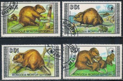 Лот: 25511227. Фото: 1. 1989 . Монголия. Бобры. Полная... Марки