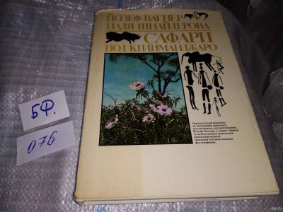 Лот: 16094384. Фото: 1. Вагнер Иозеф; Шнейдерова Надя... Путешествия, туризм