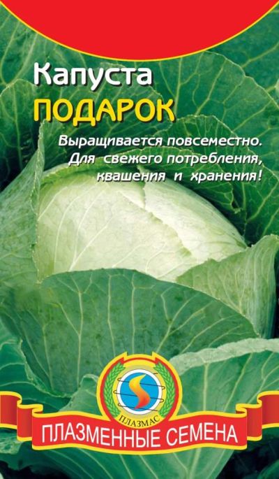 Лот: 5172280. Фото: 1. Рассада белокочанной капусты. Другое (семена, рассада, садовые растения)