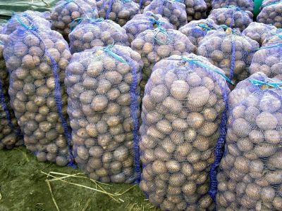 Лот: 11473164. Фото: 1. Картофель крупный сорт адретта... Картофель