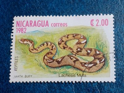 Лот: 25604397. Фото: 1. - Марки для Вашей коллекции. лот... Марки